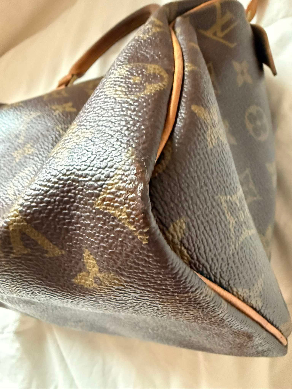 Louis Vuitton Monogram Speedy Handbag | Authentic LV Classic