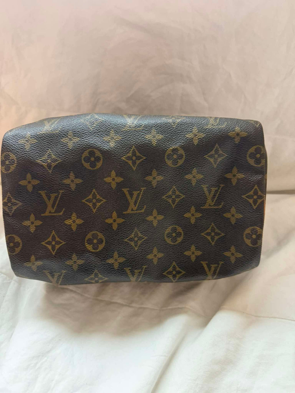 Louis Vuitton Monogram Speedy Handbag | Authentic LV Classic