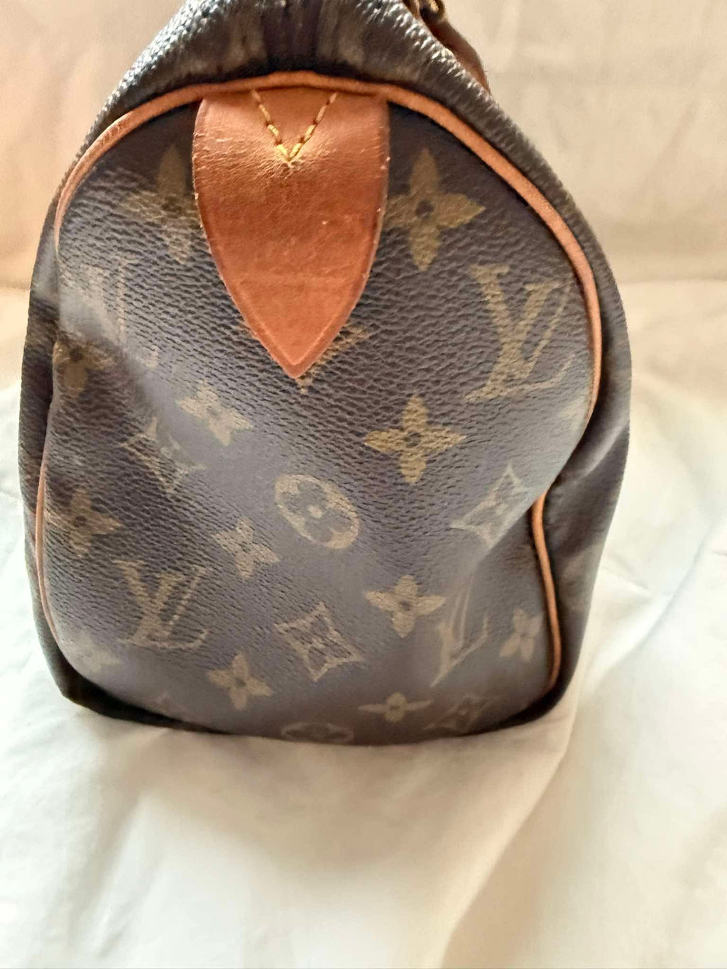 Louis Vuitton Monogram Speedy Handbag | Authentic LV Classic